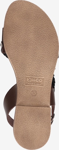 IGI&CO Sandals in Brown