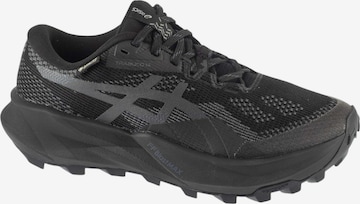Chaussure de course 'ASICS Gel-Trabuco 14 GTX' ASICS en gris : devant