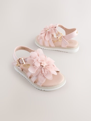 Baker by Ted Baker Sandalen in Roze