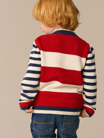Next Pullover in Mischfarben