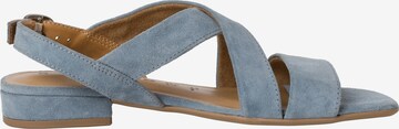 TAMARIS Sandals in Blue
