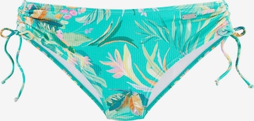 VENICE BEACH Bikinihousut värissä vihreä: etupuoli