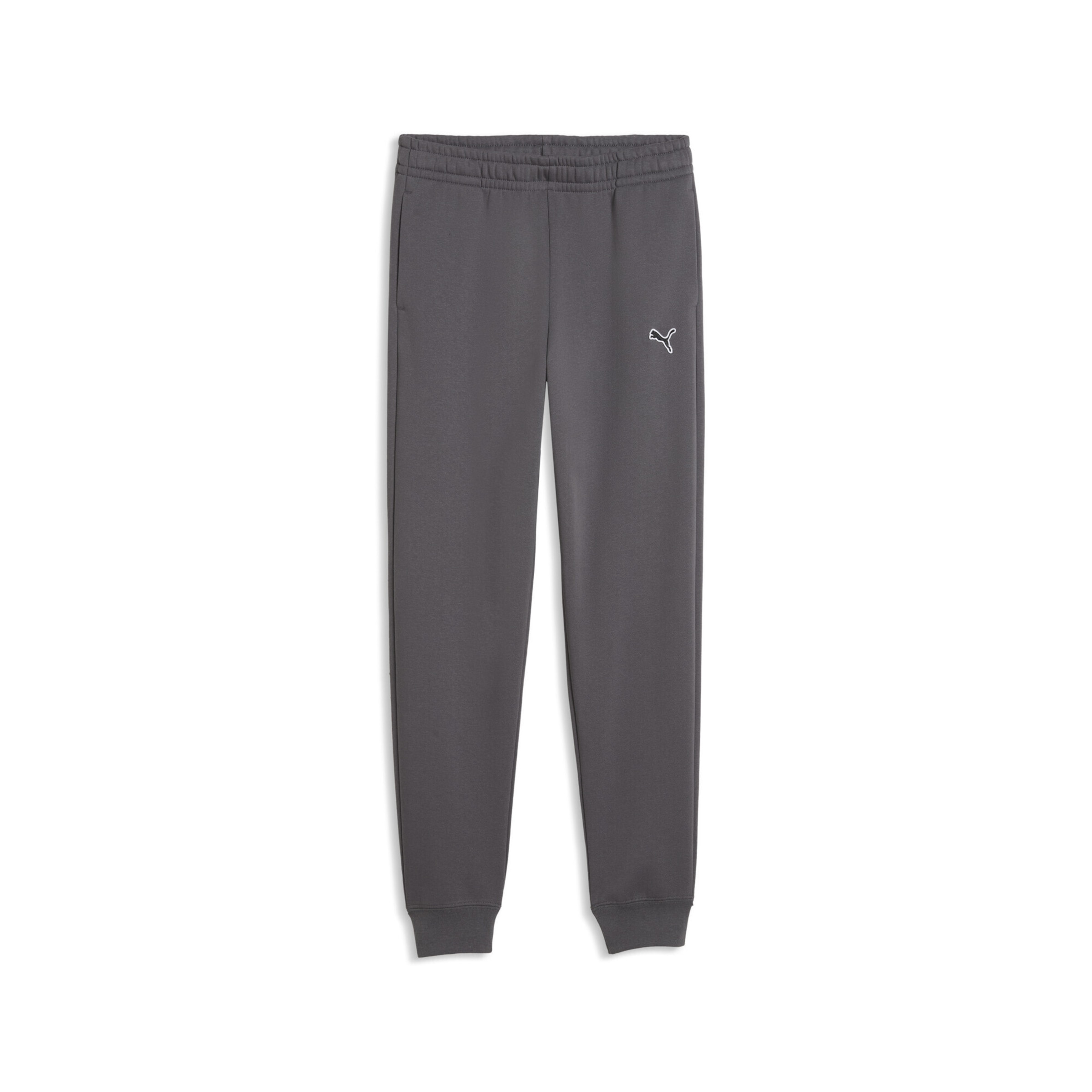 Regular Pantalon de sport PUMA en gris : devant