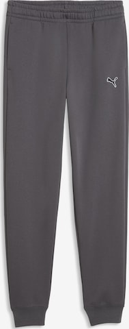 Pantalon de sport PUMA en gris : devant