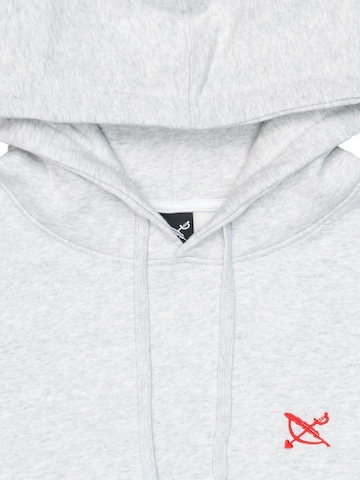 Iriedaily Sweatshirt‌‌‌‌ in Grau