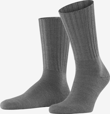 FALKE Socken 'Nelson' in Grau: Vorderseite