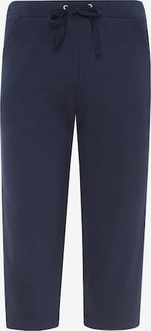 HAJO Pants in Blue: front