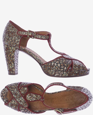 Chie Mihara Pumps 41 in Braun: Vorderseite