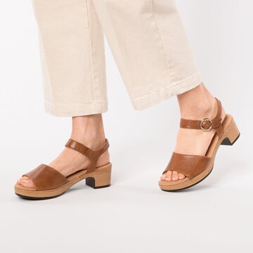 GABOR Sandals in Brown: front