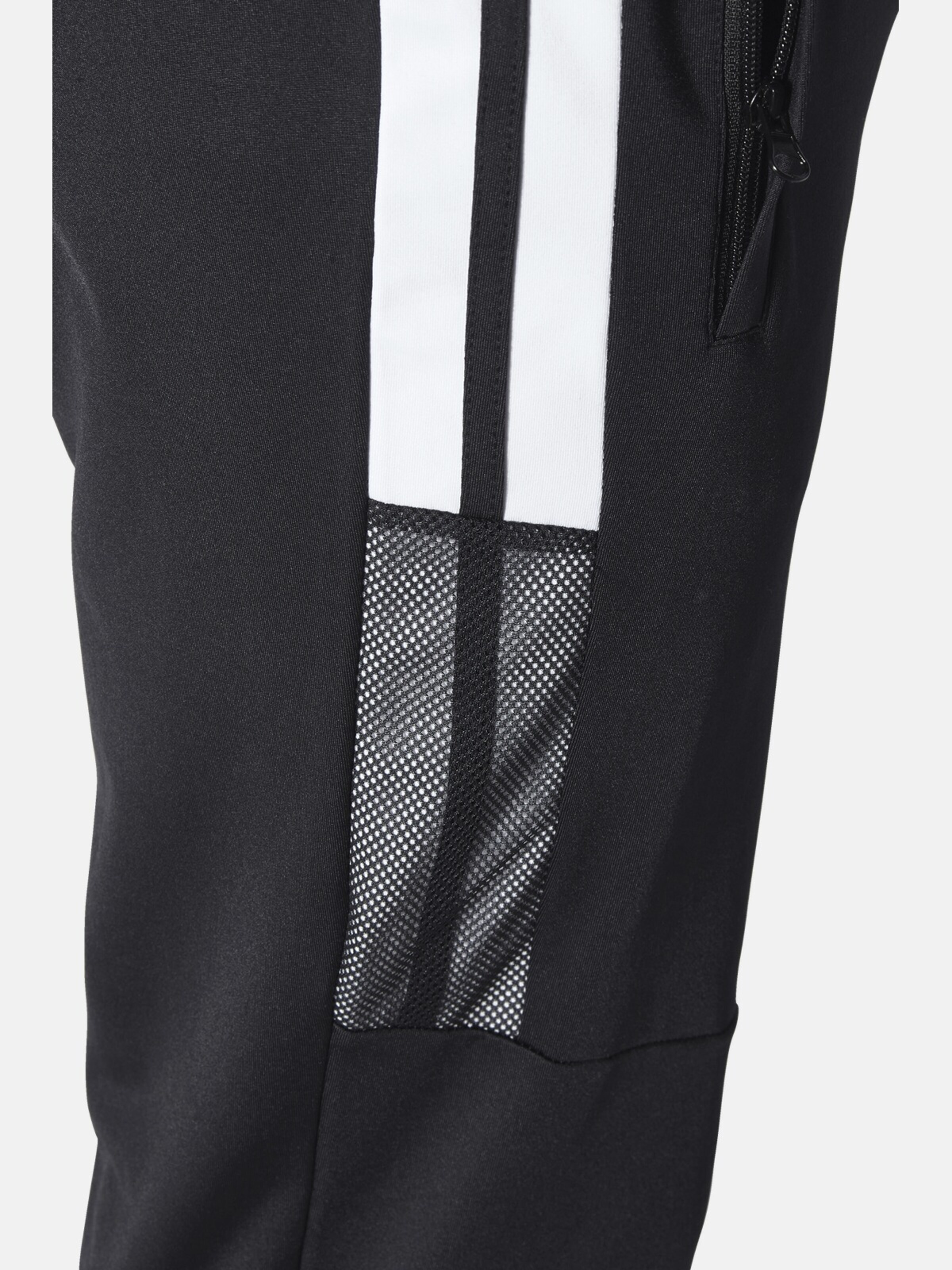 BABISTA Regular Hose ' Gigitoni ' in Schwarz