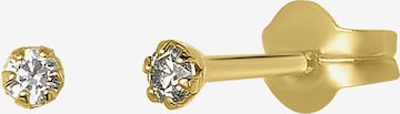 Lucardi Oorbellen 'Klassisch' in Goud: voorkant