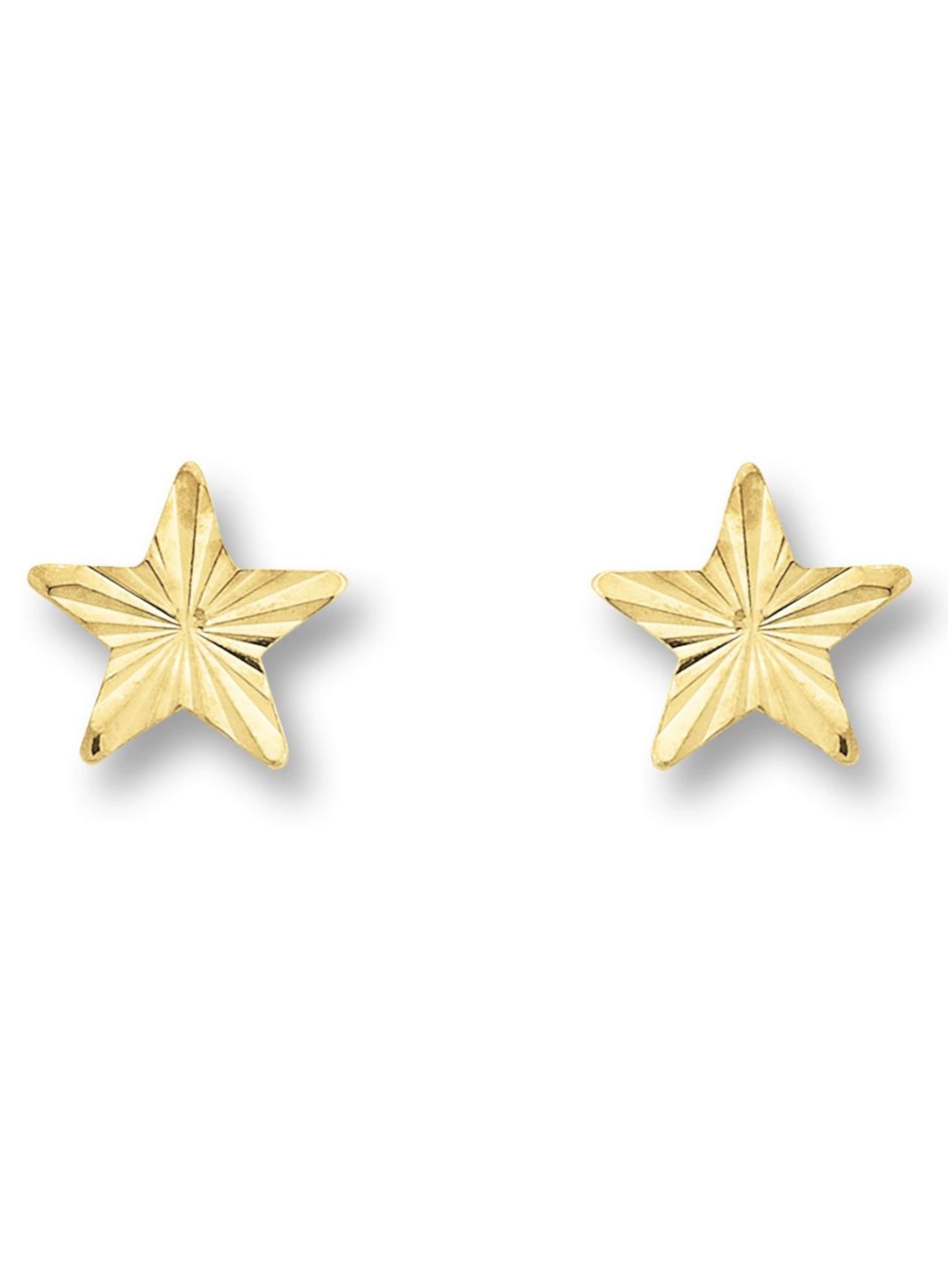 ONE ELEMENT Earrings 'Stern' in Gold: front