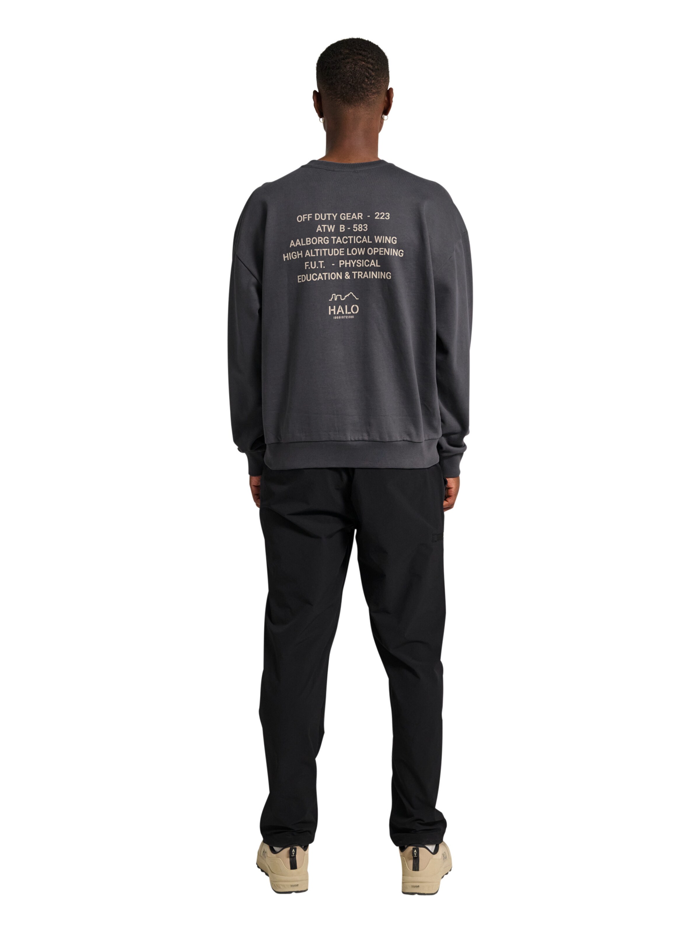 HALO Sweatshirt in Grey: front