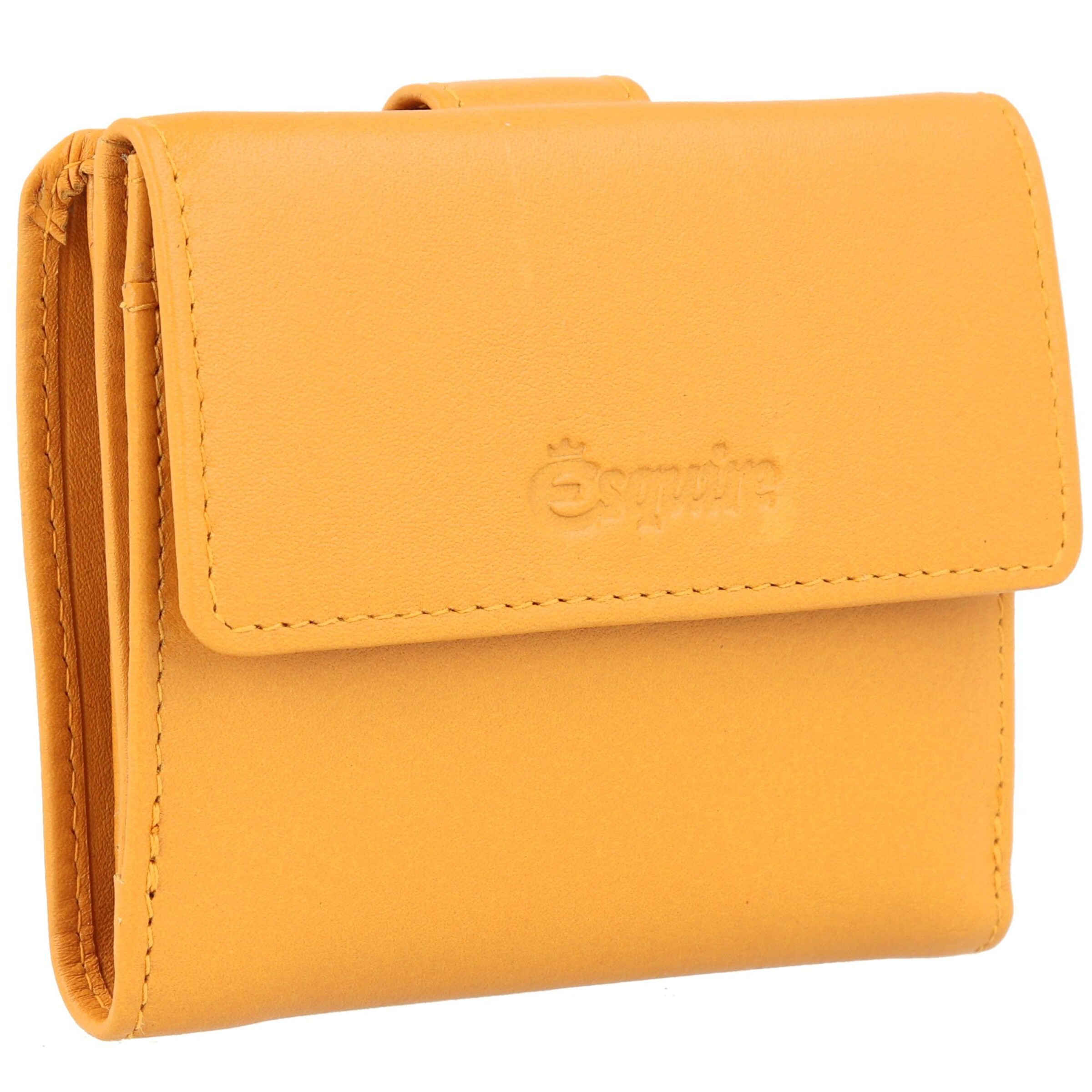 Esquire Portemonnee 'Peru' in Geel