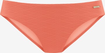 SUNSEEKER Bikini Bottoms in Orange: front