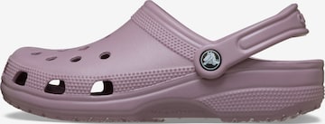 Crocs Puukengät & Crocks-jalkineet värissä lila: etupuoli