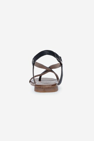 Soccx T-Bar Sandals in Blue