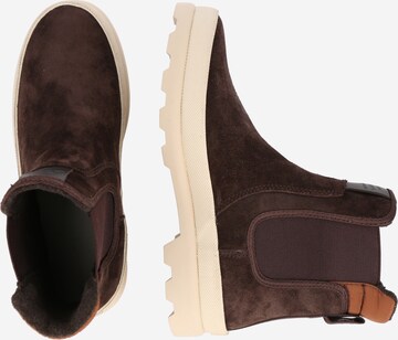 GANT Chelsea Boots 'Frenny' in Braun