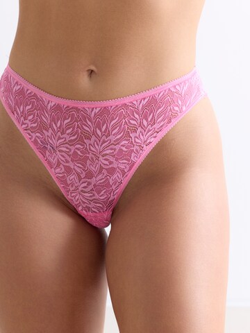 Erlich Textil - Tanga 'Iconic Lace' em rosa: frente