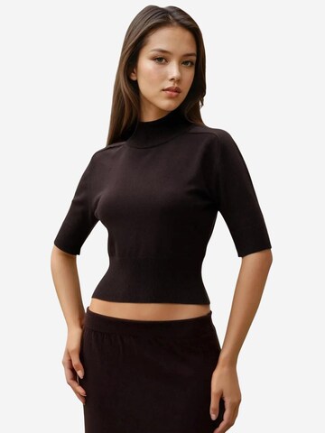 Hiccup Sweater in Brown: front