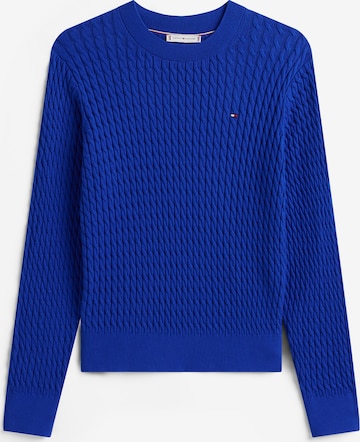 zils TOMMY HILFIGER Džemperis: no priekšpuses