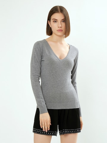 Influencer Sweater in Grey: front