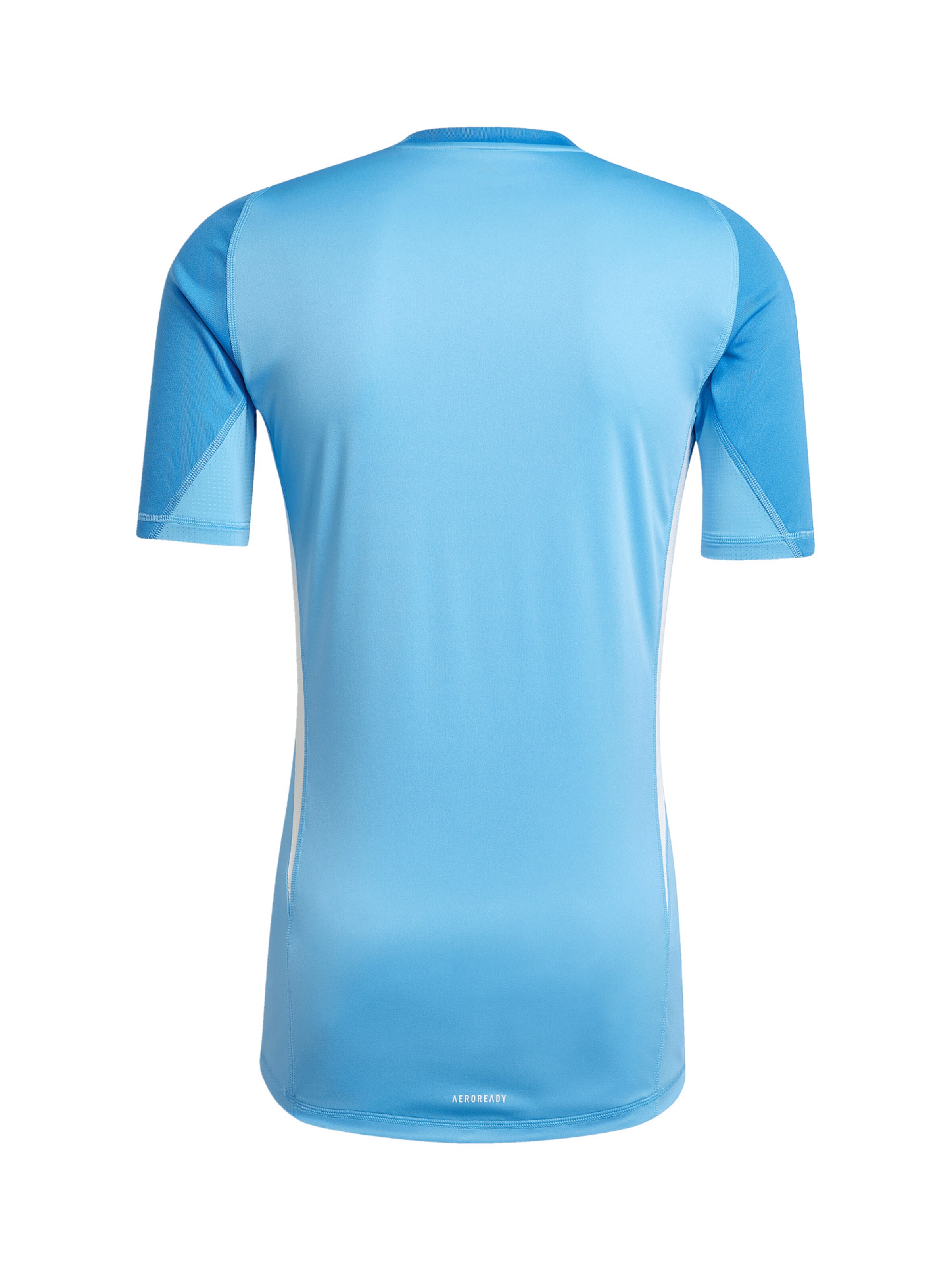 ADIDAS PERFORMANCE Jersey 'Tiro 25 Pro' in Blue