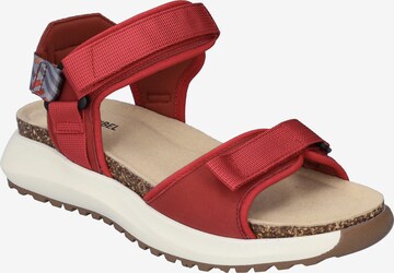 JOSEF SEIBEL Hiking Sandals 'Annie' in Red