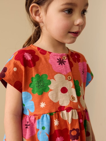 Next Kleid in Orange