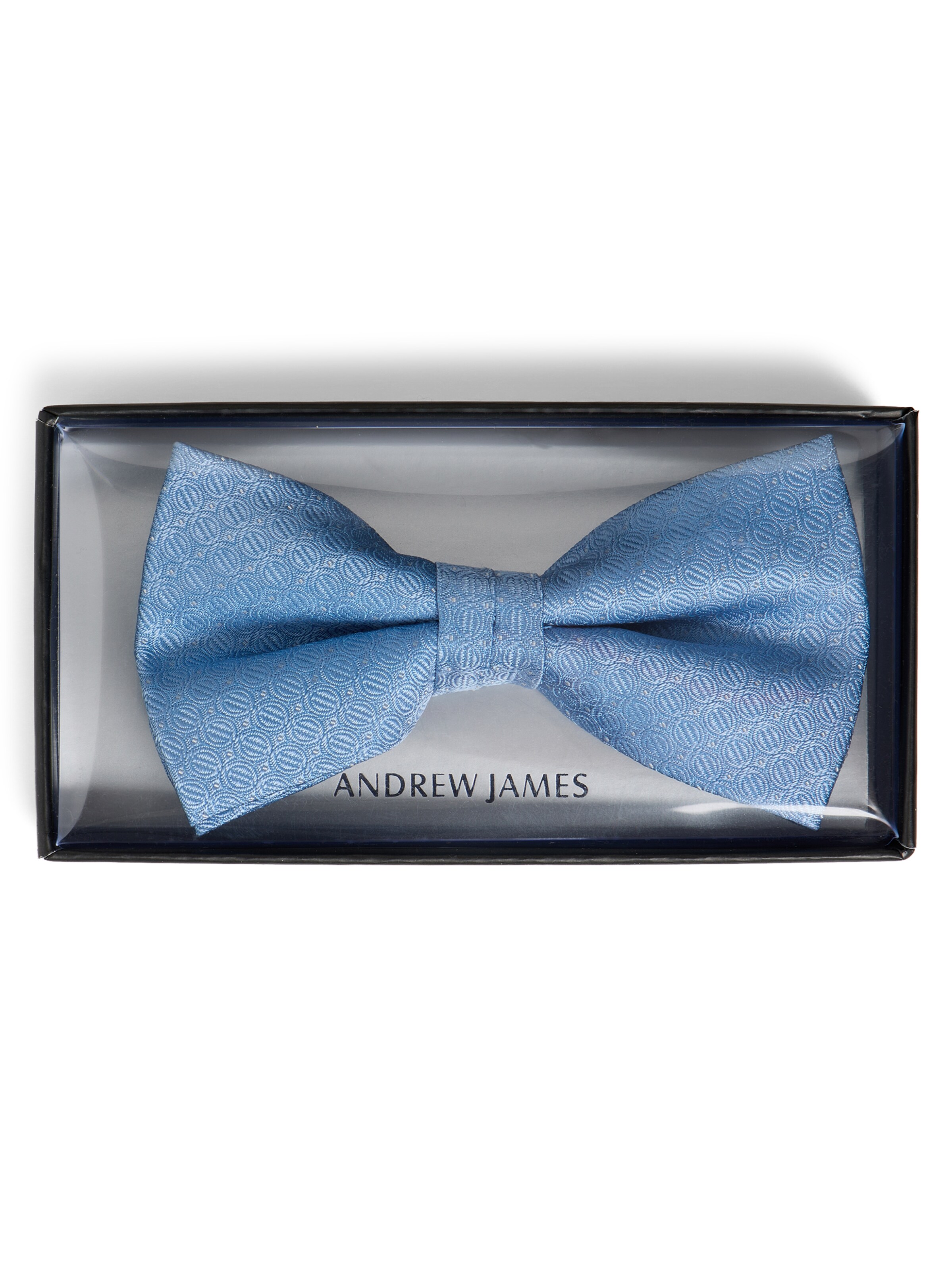 Andrew James Bow Tie in Blue