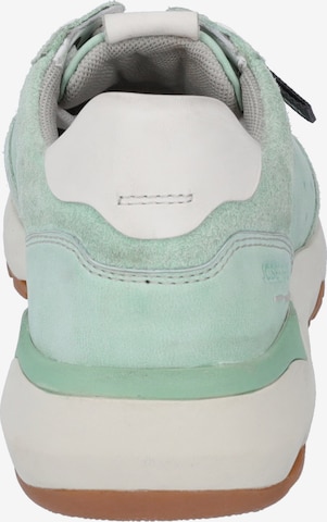 JOSEF SEIBEL Sneakers 'Jonah 02' in Green