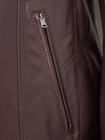 MADDOX Between-Season Jacket 'Line' in Brown