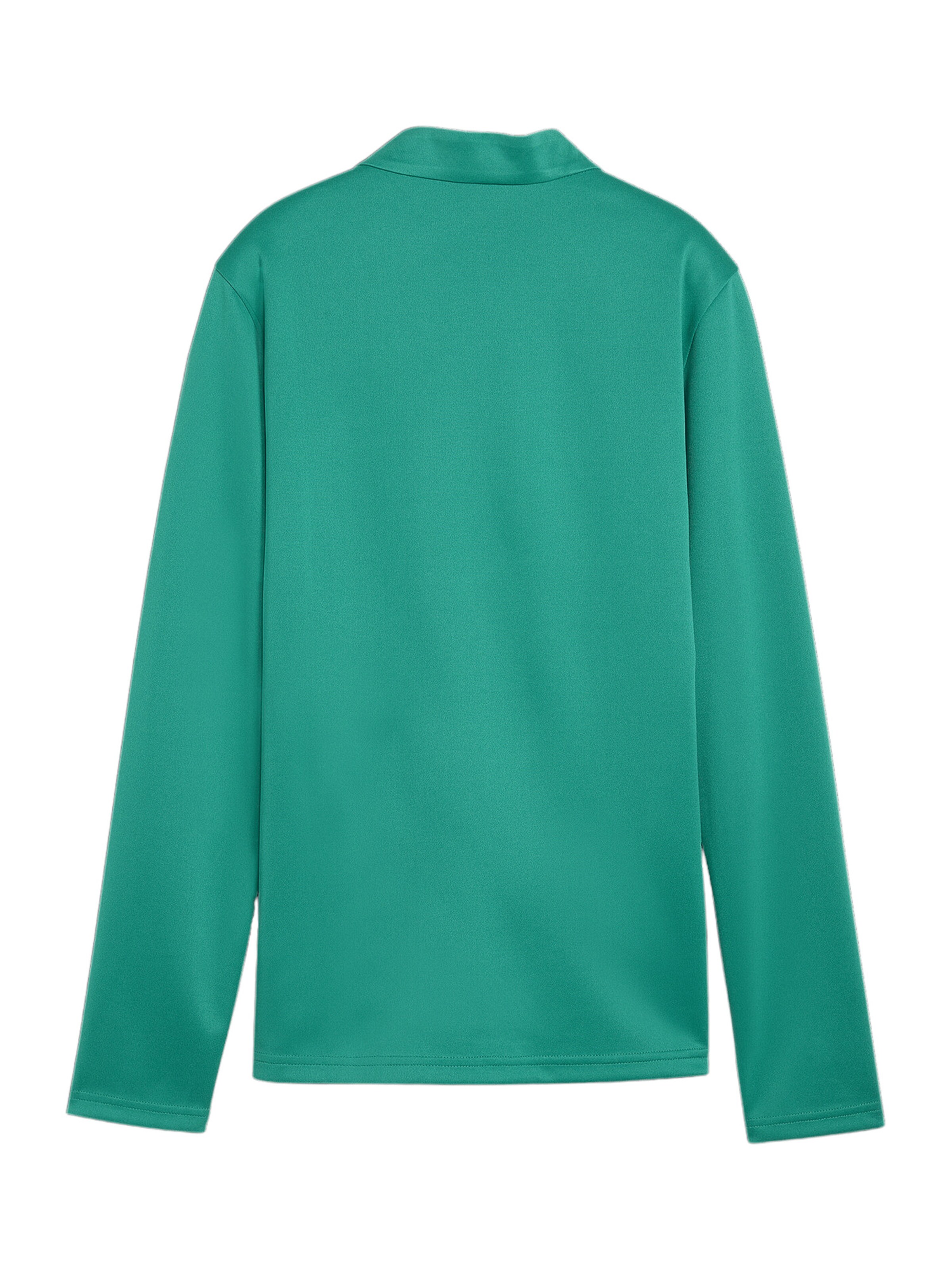 PUMA Funktionsshirt 'TeamGoal' in Grün