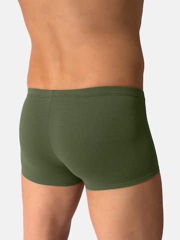 Olaf Benz Retro Pants ' RED2600 Minipants ' in Grün