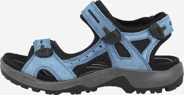 ECCO Hiking Sandals 'Offroad' in Blue