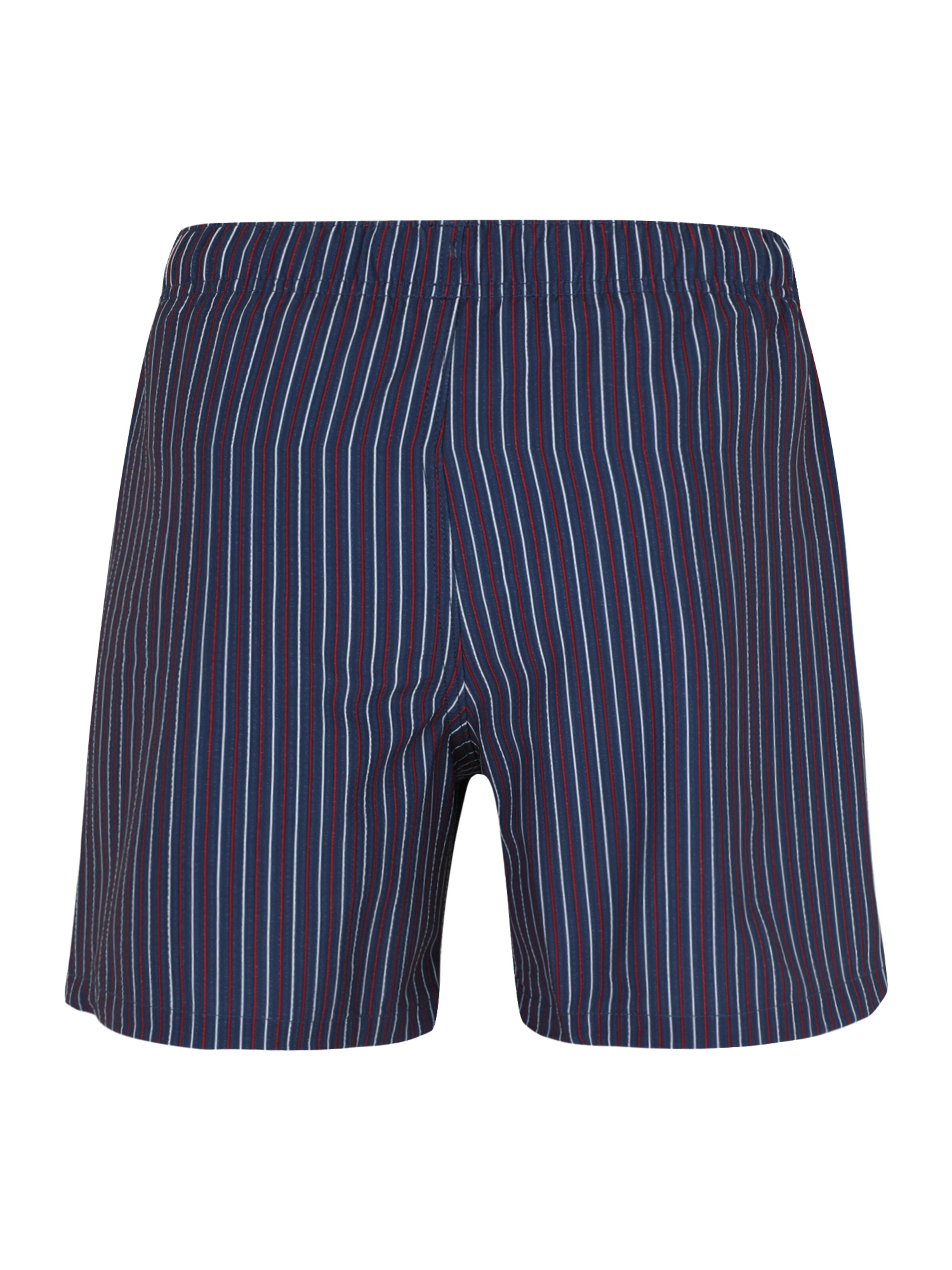 HOLLISTER Σορτσάκι-μαγιό 'EAST COAST' σε μπλε