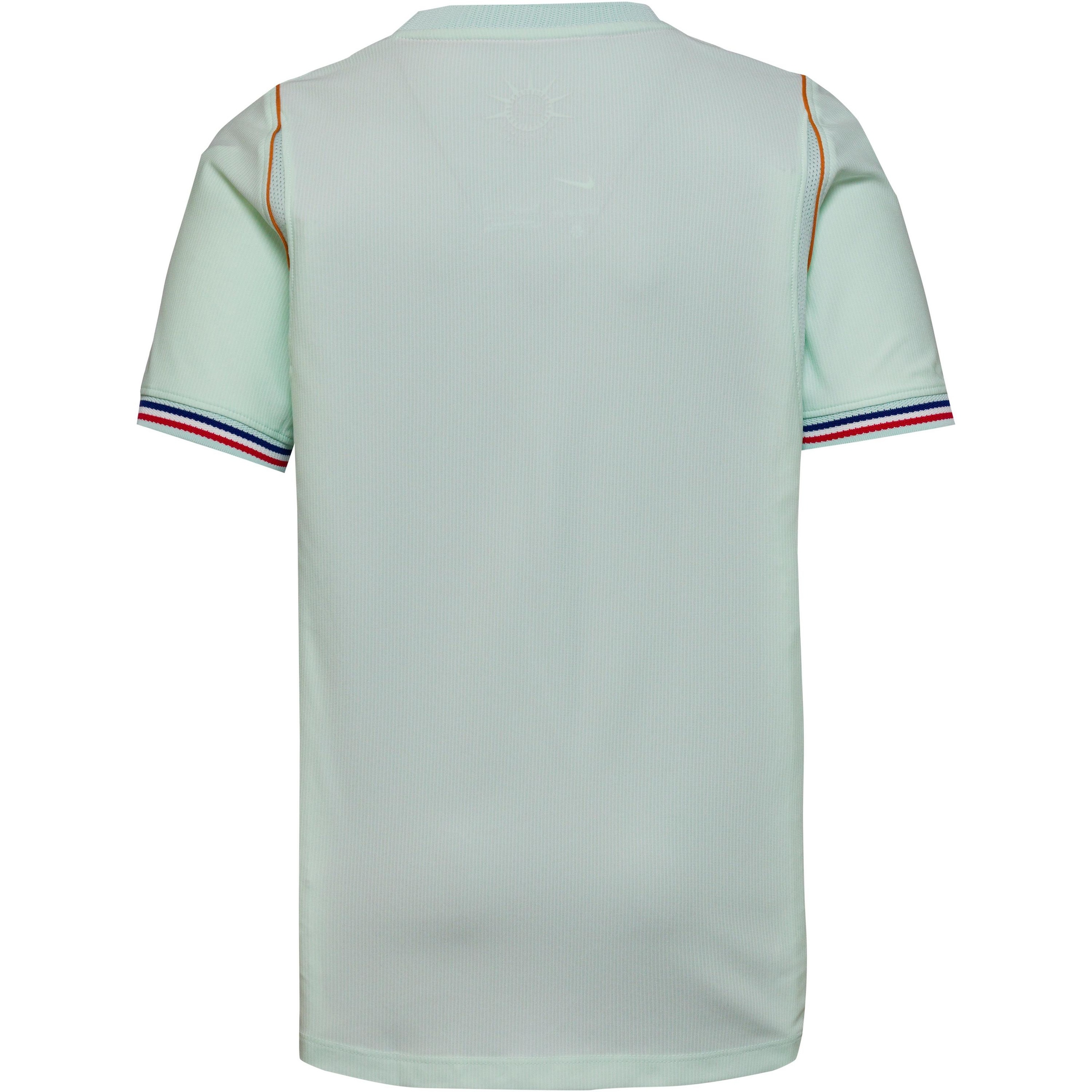 NIKE Performance Shirt 'Frankreich Away' in Green