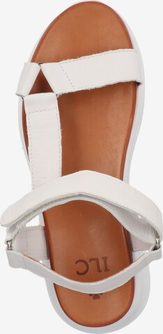 ILC Sandalen met riem in Wit