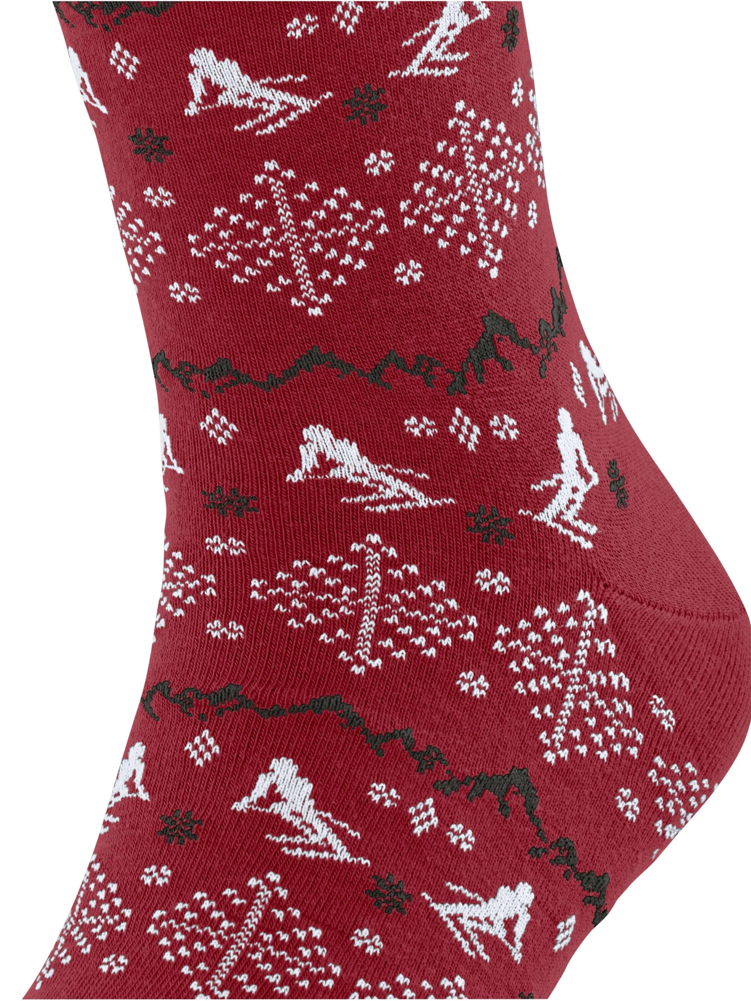 FALKE Socken 'Ski Slope SO'‌‌‌‌‌‌‌ in Rot