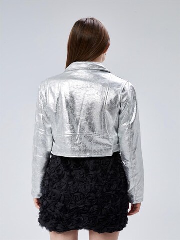 HOME STORE Jacke in Silber