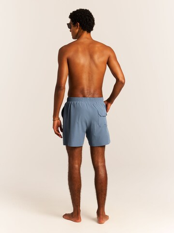 PROTEST Board Shorts 'PRTIgapo' in Blue