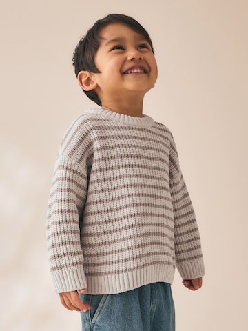 Next Pullover in Beige: Vorderseite