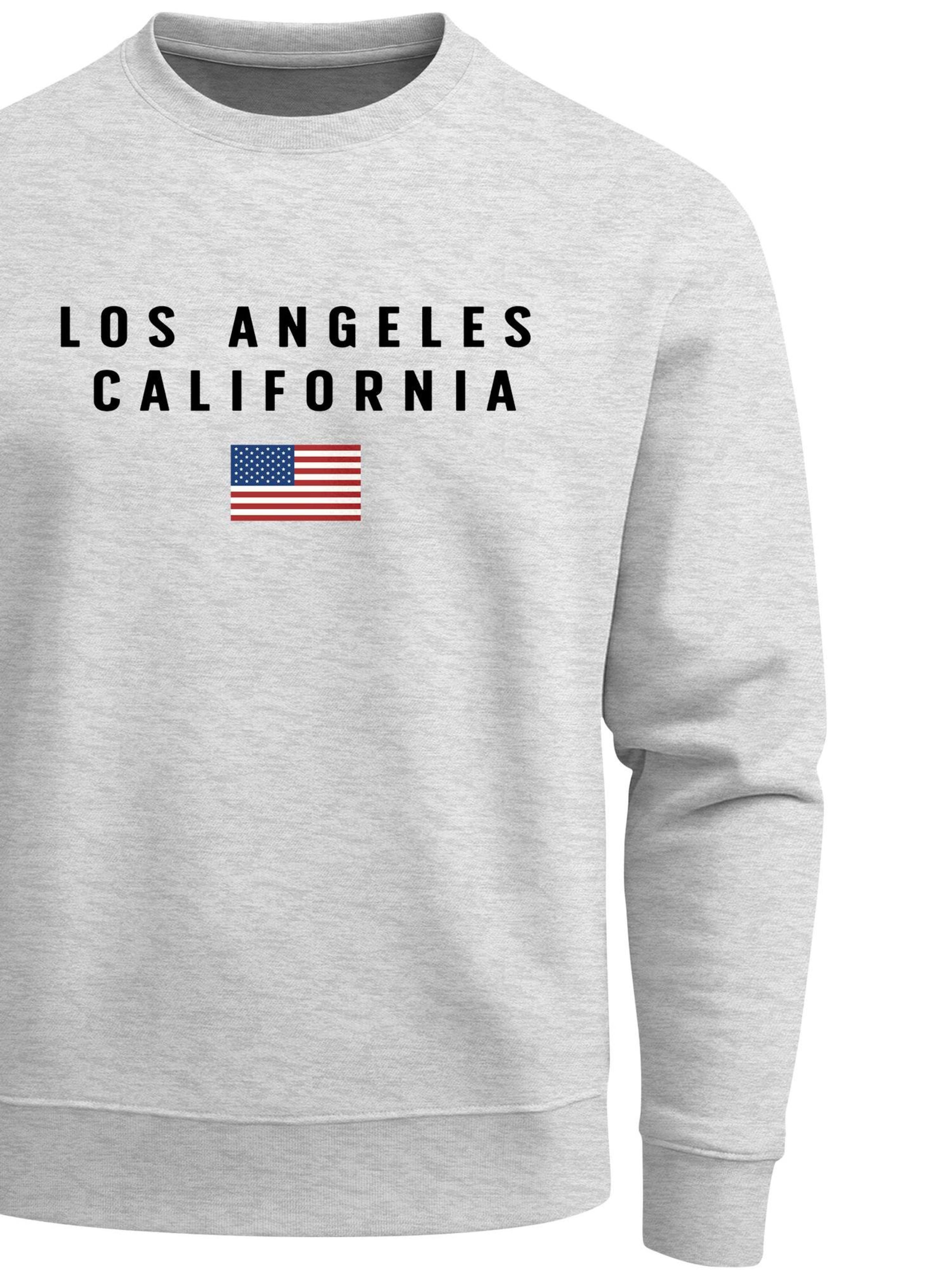 Neverless Sweatshirt 'California' in Grey