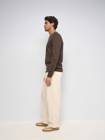 Salsa Jeans Pullover in Braun