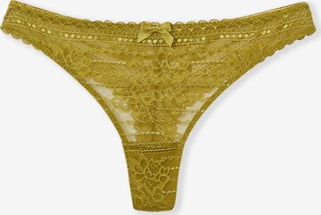 String 'Panama' di ETAM in verde: frontale