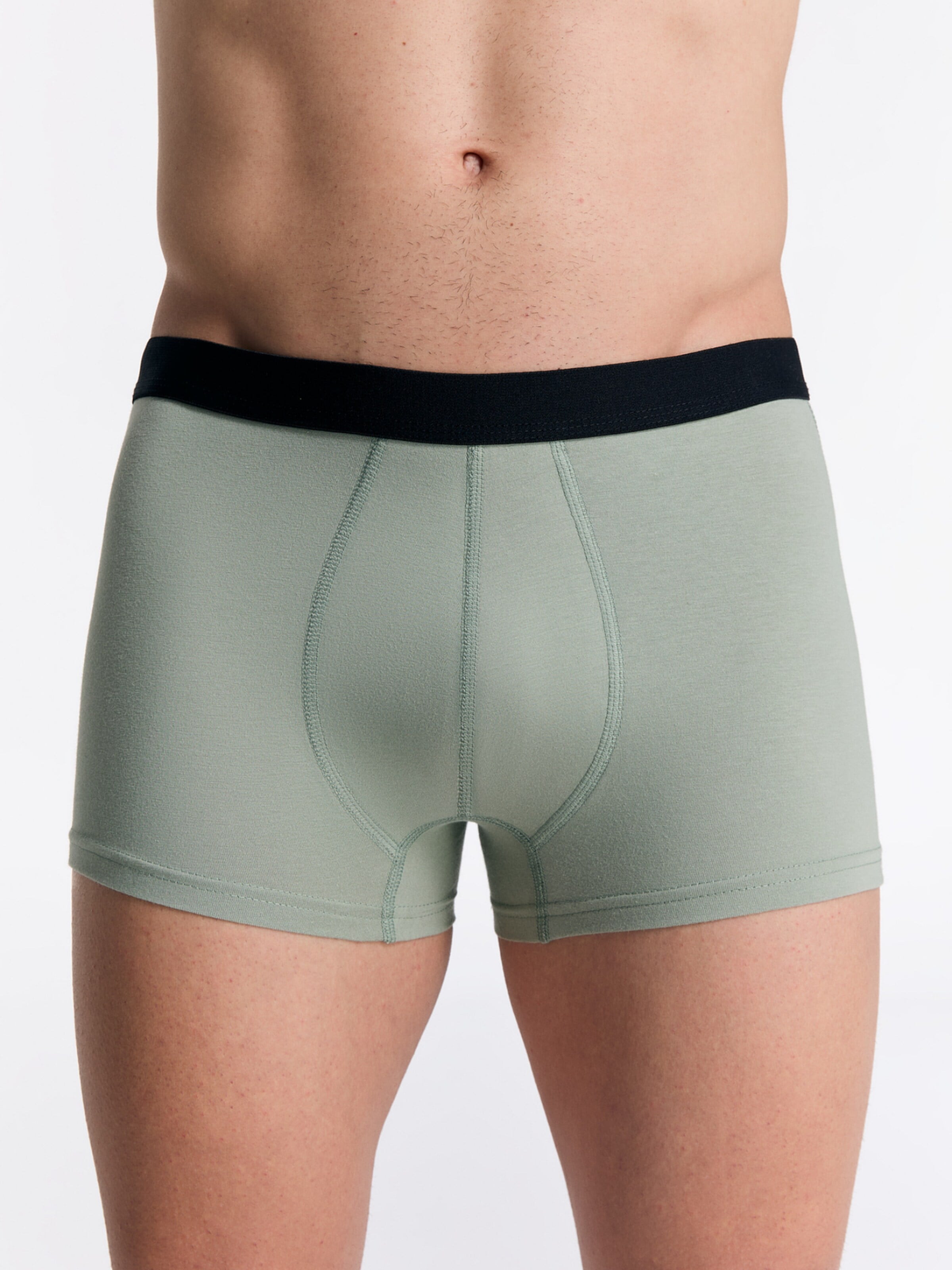 Albero Natur Boxer shorts 'Herren Trunkshorts aus Bio-Baumwolle' in Green: front