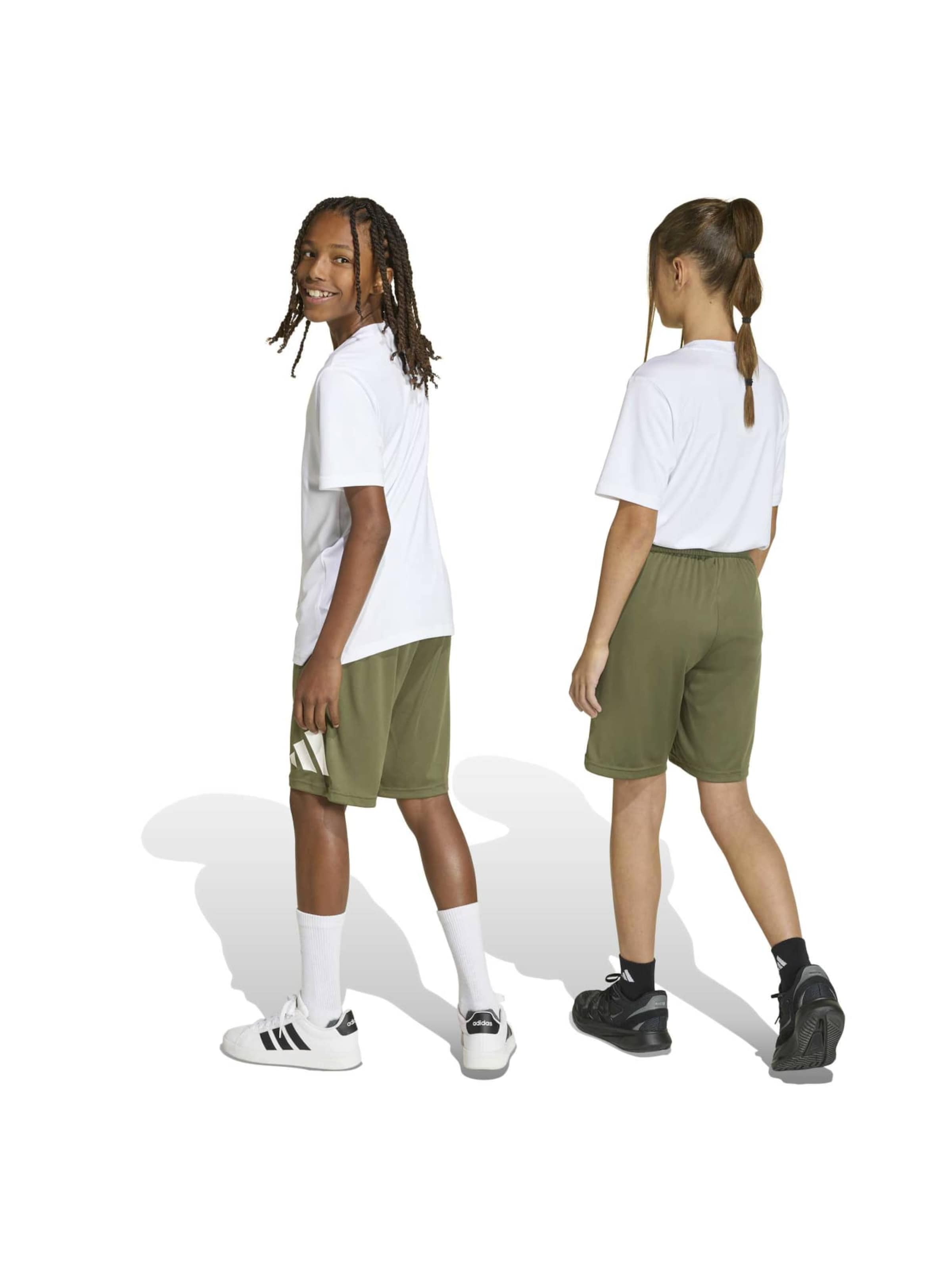 Regular Pantalon de sport 'TR-ES' ADIDAS SPORTSWEAR en vert