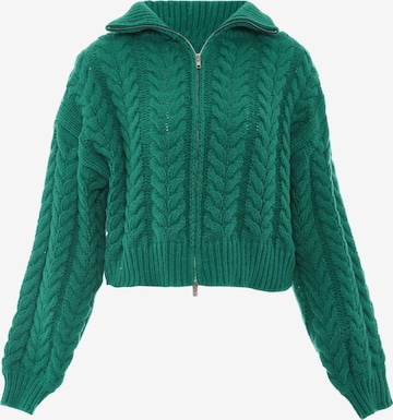 Sookie Knit Cardigan in Green: front