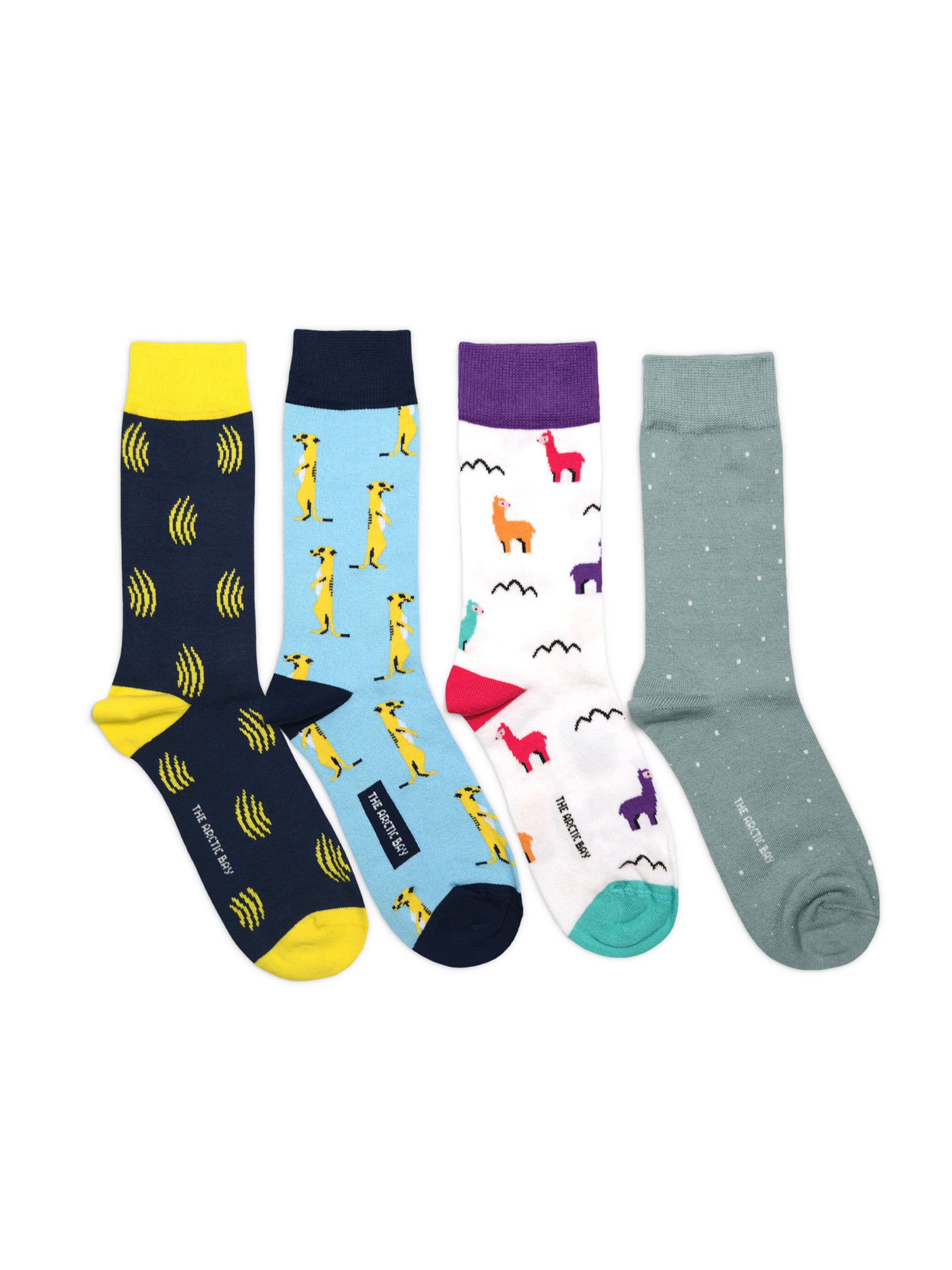 Chaussettes 'ORUN EDITION Gift box 4 Pack Unisex' The Arctic Bay en mélange de couleurs : devant