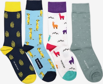 The Arctic Bay - Calcetines 'ORUN EDITION Gift box 4 Pack Unisex' en Mezcla de colores: frente